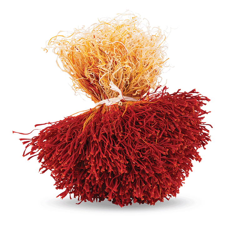 دخترپیچ (Bunch)