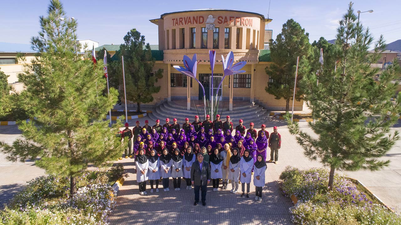 تیم تروند زعفران