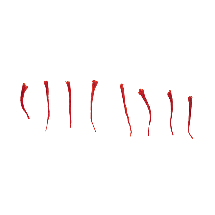 سرگل S1 - جزئیات