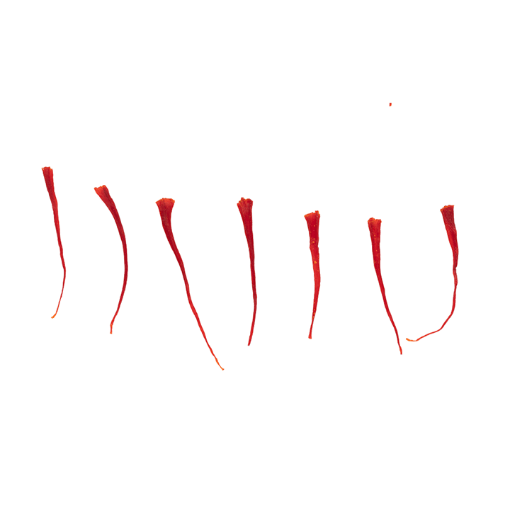 نگین - جزئیات